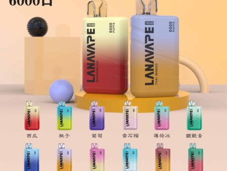 LANA Trend 6000口｜一次性電子煙｜8ml大容量+500mAh｜Type-C快充-台灣現貨