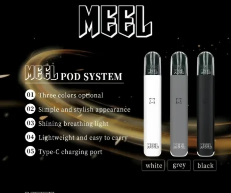 MEEL 主機|8W/10W雙檔調節、Type-C快充、一代通用電子煙桿-台灣現貨 1 MEEL 主機